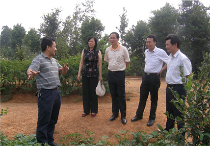 國家林業(yè)局造林司王司長在我院林場調(diào)研指導(dǎo)