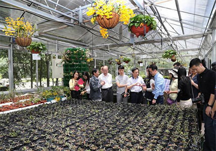 全國人大環(huán)資委調(diào)研室巡視員何嘉平走進湖南林