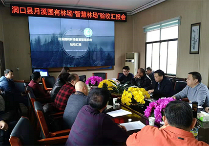 林場管理智慧化 引領(lǐng)數(shù)字林業(yè)新篇章