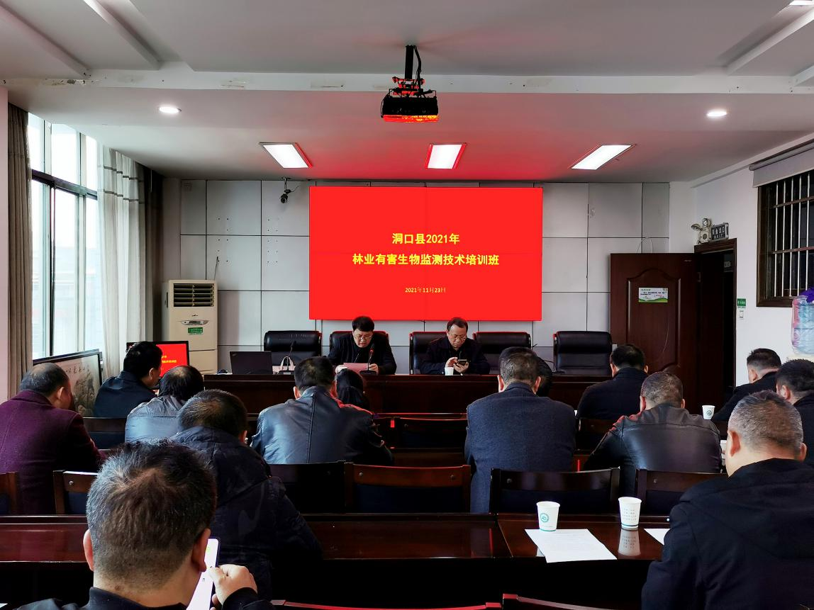 森防管家 | 洞口縣林業(yè)局組織召開林業(yè)有害生物監(jiān)測(cè)技術(shù)培訓(xùn)班