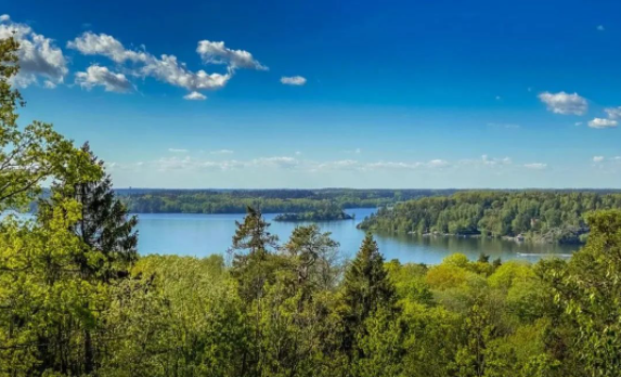 祝賀！湖南林科達(dá)獲贈(zèng)“神速救火 誠(chéng)心為民”錦旗