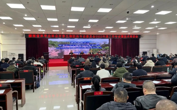 林科達獲“2022年度守信用重質(zhì)量企業(yè)”“2022年度松材線蟲病除治優(yōu)質(zhì)工程獎”兩項榮譽