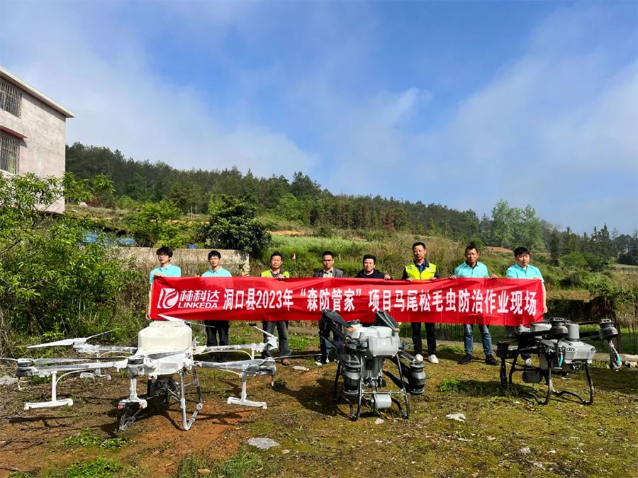 林科達助力洞口守護202萬畝森林生態(tài)安全