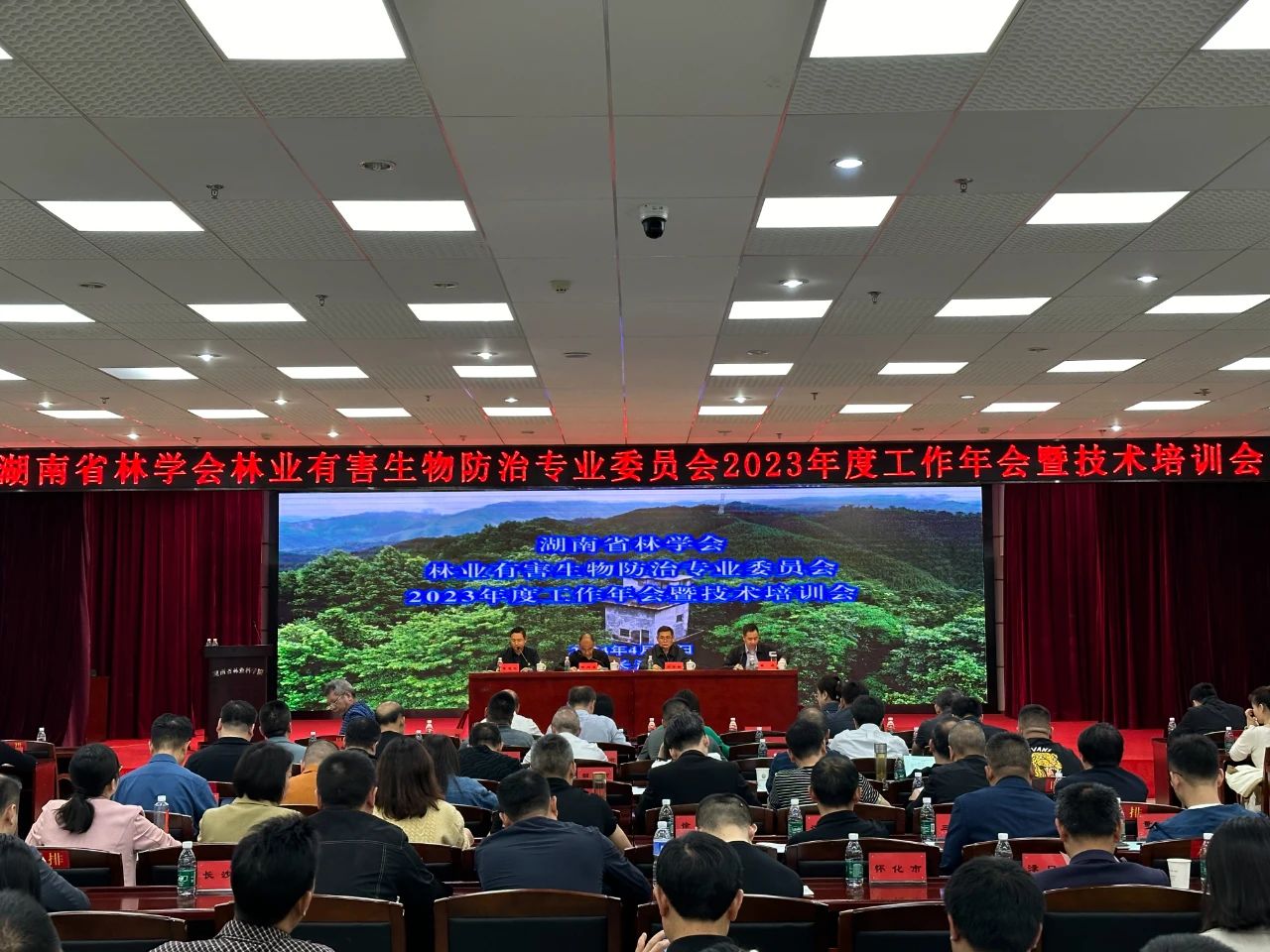 再添榮譽——林科達榮獲“湖南省森林植物醫(yī)院”稱號