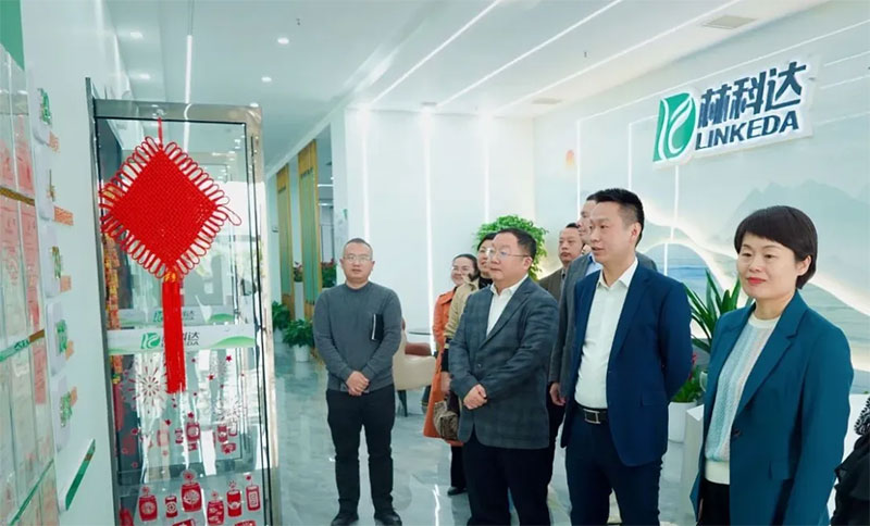 省市政協(xié)領(lǐng)導(dǎo)相繼調(diào)研林科達(dá)，為企業(yè)高質(zhì)量發(fā)展把脈定向